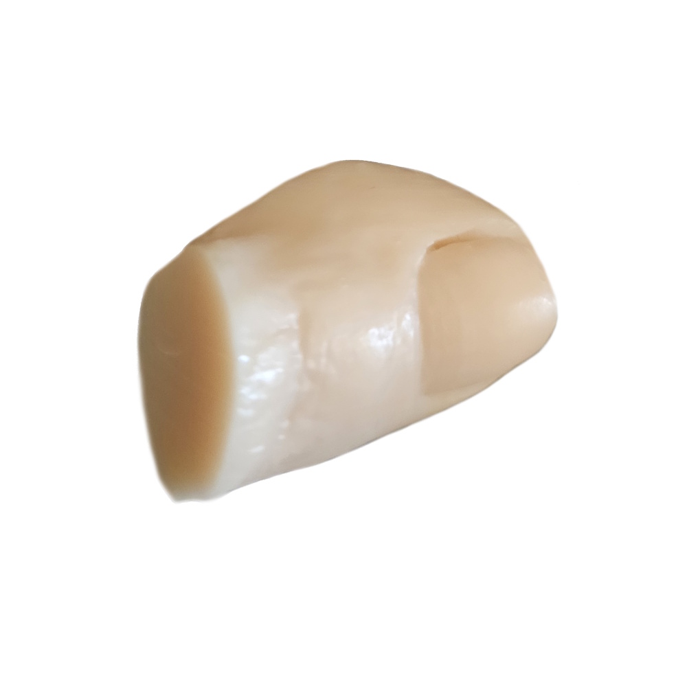 Orteils résine 3D - KTS – Image 2
